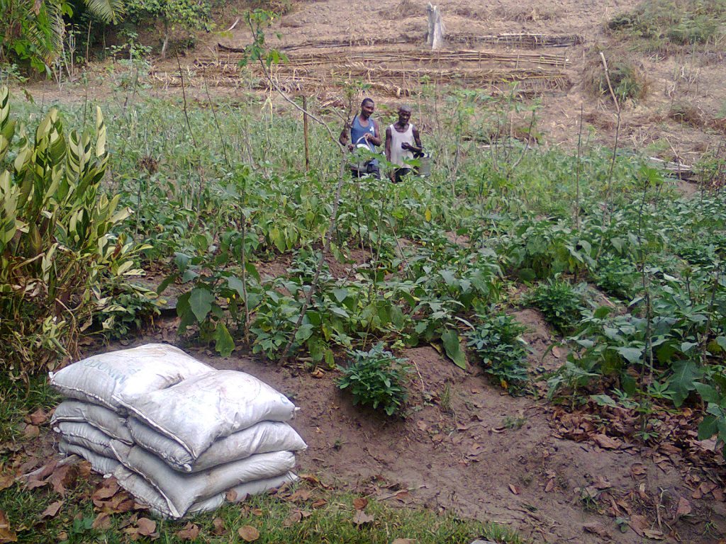 ired progetto Agricoltura 2019