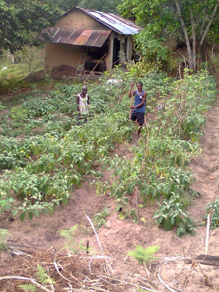 ired progetto Agricoltura 2019