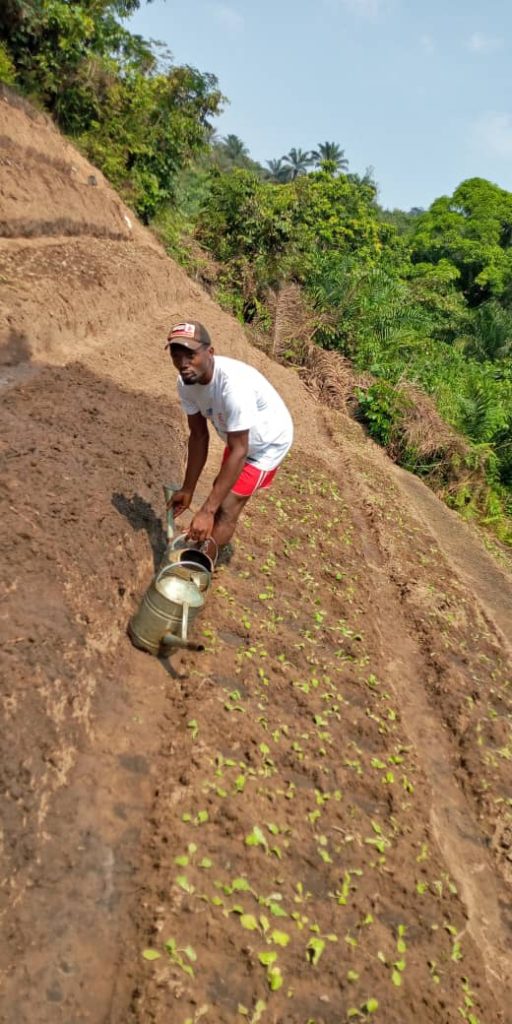 ired progetto Agricoltura 2019