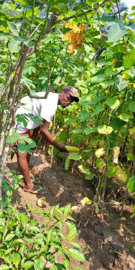 ired progetto Agricoltura 2019