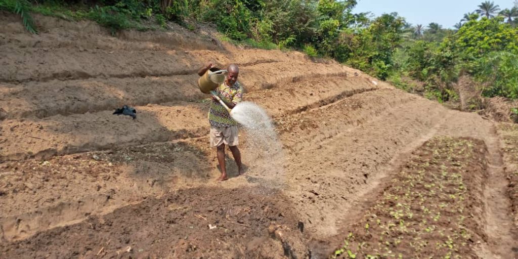 ired progetto Agricoltura 2019