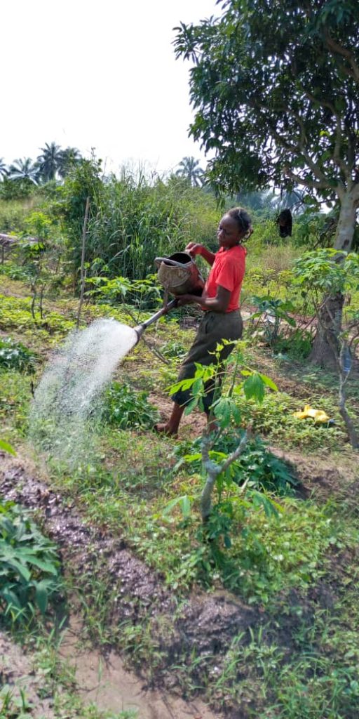 ired progetto Agricoltura 2019