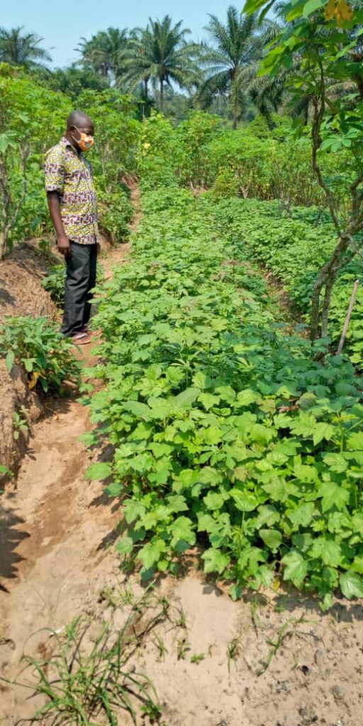ired progetto Agricoltura 2019